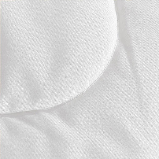 【直送到家】安睡宝 新羽舒柔聚暖冬被200*230cm/1800g 商品图1