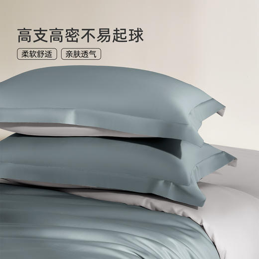 奥若拉 秋冬60支长绒棉素色拼色三件套/四件套 商品图3