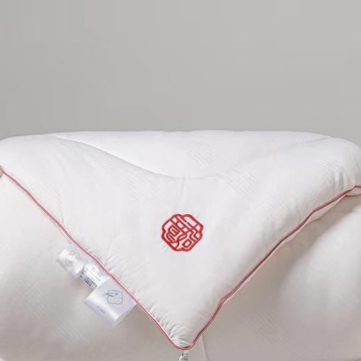 【直送到家堂皇 如意大豆抗菌冬被 200*230cm2000g 商品图1