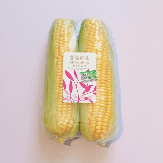 有机水果玉米350g｜芸岭鲜生 商品图0