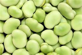 【生鲜预定】蚕豆 去壳