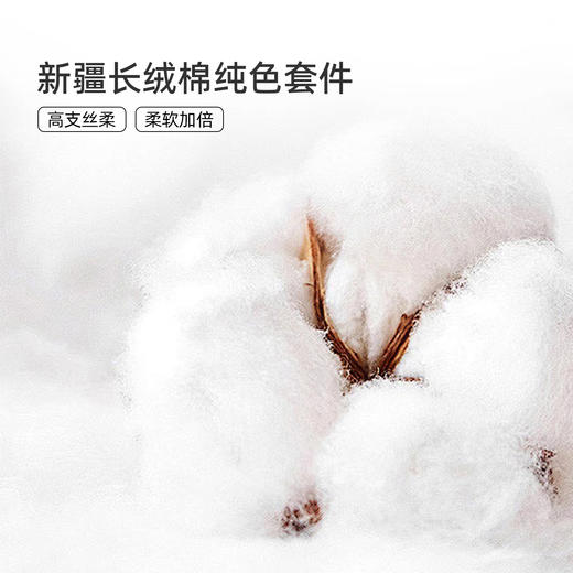 奥若拉 秋冬60支长绒棉素色拼色三件套/四件套 商品图2