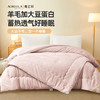 奥若拉 澳洲羊毛大豆被二合一子母被四季被秋冬被 商品缩略图0