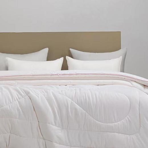 【直送到家堂皇 如意大豆抗菌冬被 200*230cm2000g 商品图0