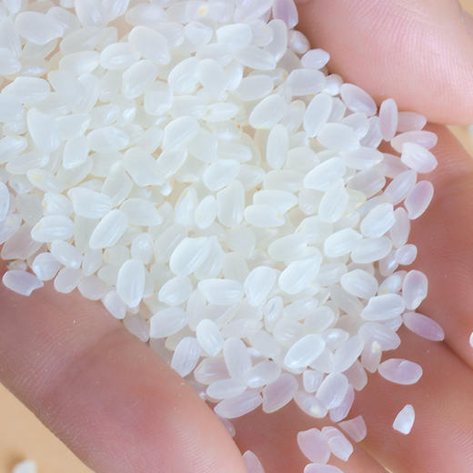 【天下米行东北米】中粮皇家粮仓天下米行精选东北大米2.5kg！东北黑土地稻花香，颗粒饱满，煮饭满屋飘香！ 商品图2