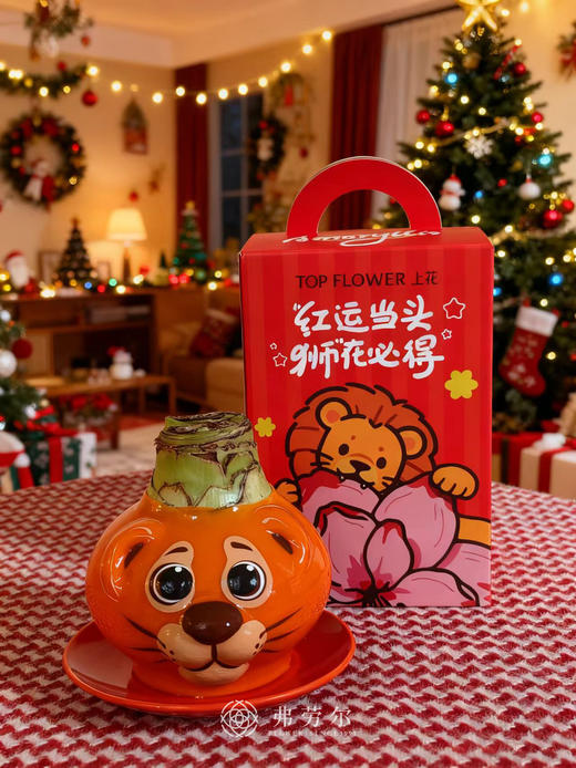 Q萌卡通朱顶红 商品图6