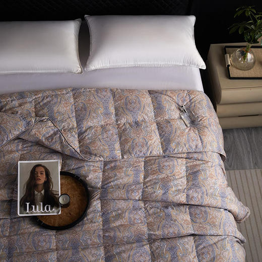 【直送到家】安睡宝 安芯95%羽绒加厚冬被 200*230cm1200g 商品图1