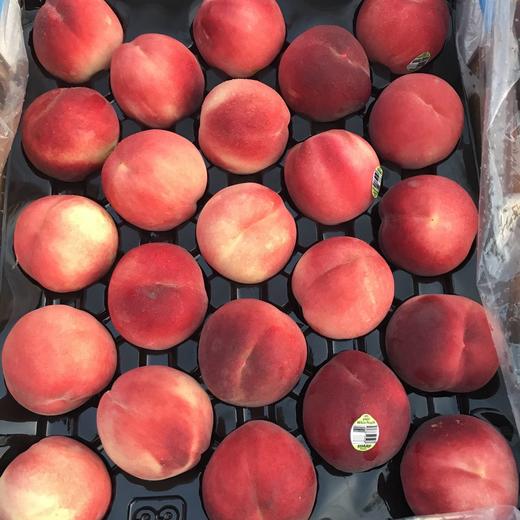 澳洲维多利亚洲公主水蜜桃 商品图5