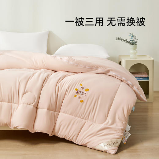 奥若拉 无染大豆子母被 商品图2