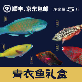 青衣鱼礼盒（净重5斤）