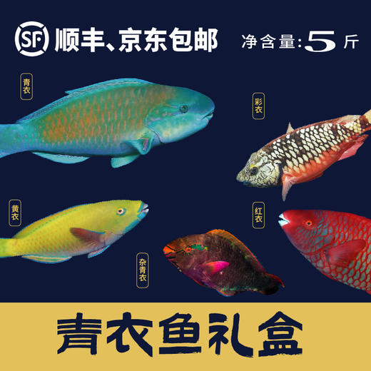 青衣鱼礼盒（净重5斤） 商品图0