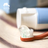 植物精粹净白牙膏/儿童洋甘菊植萃牙膏 | 公平贸易*Plant Essence Whitening Toothpaste| Fair Trade 商品缩略图2