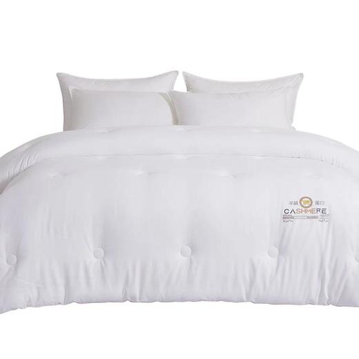 【直送到家】堂皇 舒馨阳绒蛋白冬被 200*230cm2000g 商品图0