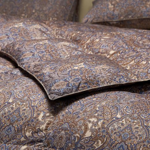【直送到家】宜庭 卢浮宫大白鹅90%加厚冬被 200*230cm1300g 商品图3