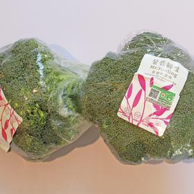 有机西兰花300g｜芸岭鲜生