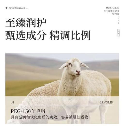 佰芳源绵羊护手霜手部滋润按摩足疗洗脚油膏足浴专用足部按摩 商品图3