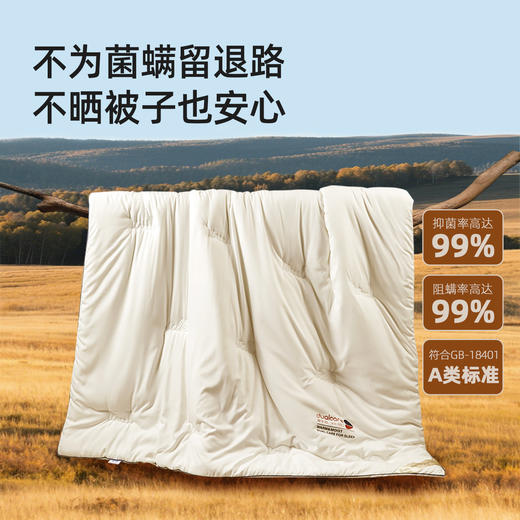 奥若拉 秋冬A类抗菌防螨蚕眠澳洲羊毛被 商品图4