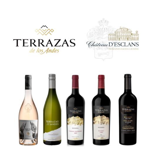 【2025.12.14 陆家嘴鸿街门票 LJZ Ticket】安第斯高海拔台阶遇上南法桃红标杆蝶之兰 商品图0