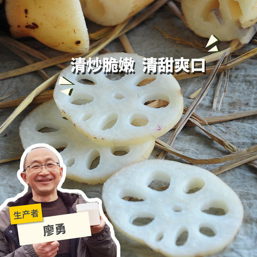 生态脆藕（四川） | 合作生产* Eco-lotus root | Coproduction 商品图0