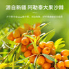 【快递】疆果乐·沙棘果汁饮料300ml*10瓶/箱 商品缩略图2
