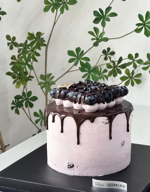 巧克力蓝莓大阪 商品图0