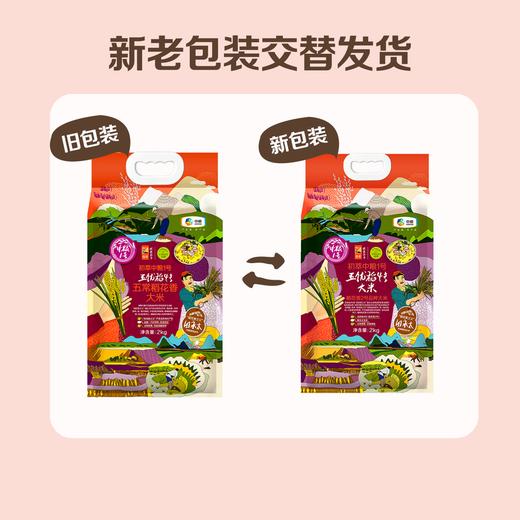 初萃中粮一号五优稻4号五常稻花香大米2kg（新老包装交替） 商品图1