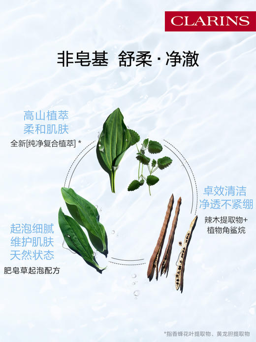 娇韵诗 全温和焕活泡沫洁面慕斯 商品图2