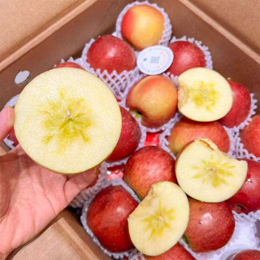 昭通糖心苹果 脆甜多汁 商品图0