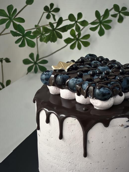 巧克力蓝莓大阪 商品图1