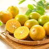 皇帝柑 1kg/份 商品缩略图0