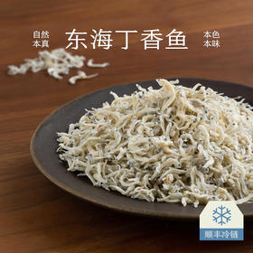 南食召 东海丁香鱼