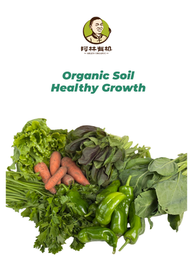 有机蔬菜5斤装 现摘现发 盲盒