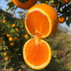 【严选】果肉细腻化渣 橙香浓郁 湖北宜昌秭归满甜新鲜采摘九月红脐橙5斤/9斤网套彩箱装（厂家直发） 商品缩略图4