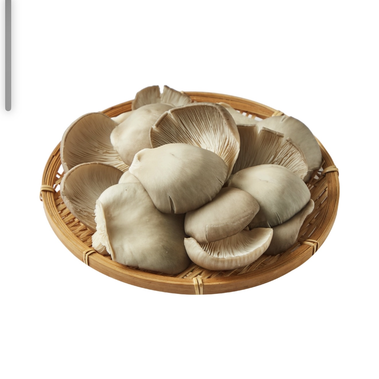 有机平菇150g｜芸岭鲜生