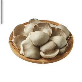 有机平菇150g｜芸岭鲜生