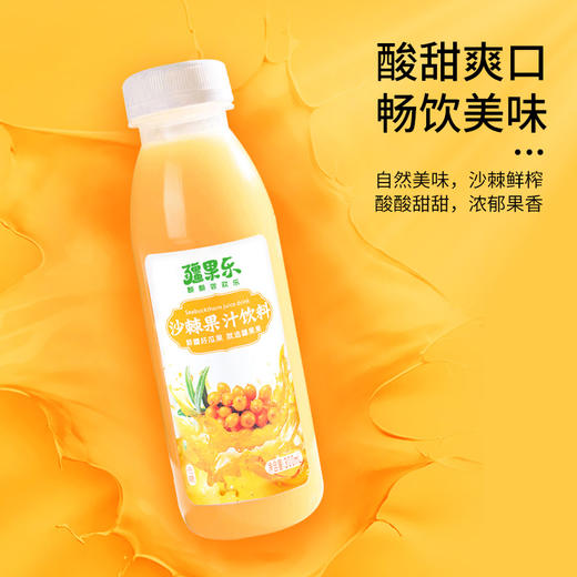 【快递】疆果乐·沙棘果汁饮料300ml*10瓶/箱 商品图3