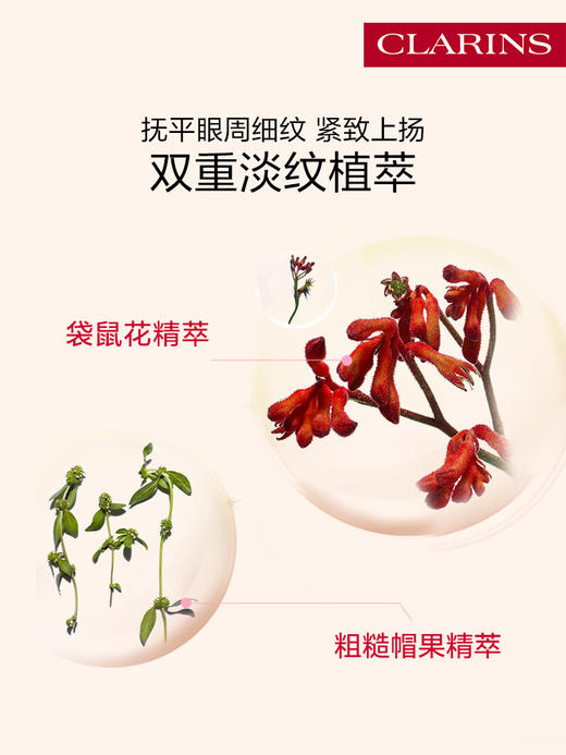 娇韵诗 多维紧致平滑眼霜全明星眼霜平纹眼霜15ml 商品图1