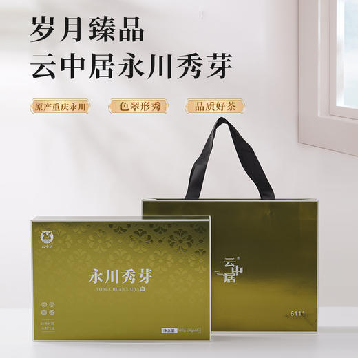 云中居 秋知系列永川秀芽192g（4g×48） 商品图4