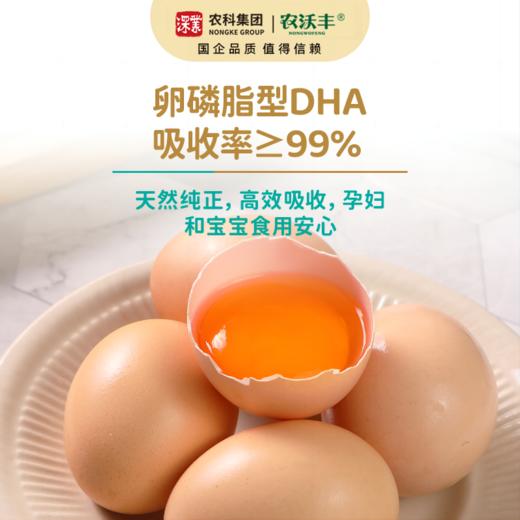 【农沃丰】DHA营养鸡蛋 商品图4