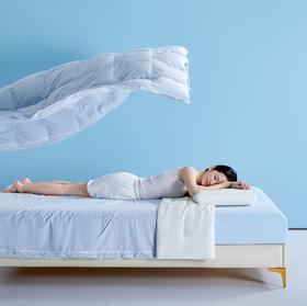 TTH鹅绒深睡控温被PRO