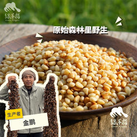 野生偃松仁| 合作生产*Wild pine nuts|  Partner Production
