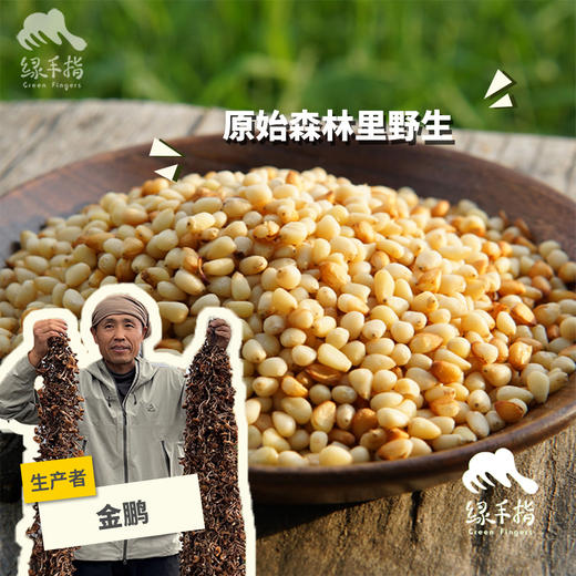 野生偃松仁| 合作生产*Wild pine nuts|  Partner Production 商品图0