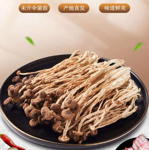 【快递】连州茶树菇120g 商品图2