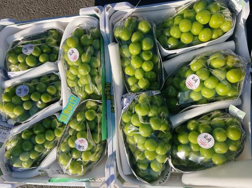 精品晴王葡萄一串 商品图2