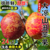 【严选】正宗盐源大凉山丑苹果 新鲜水果现摘现发小中大果 4.5/8斤彩箱装 （厂家直发） 商品缩略图0