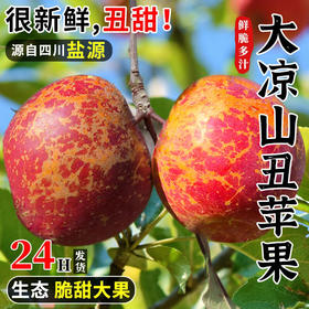 【严选】正宗盐源大凉山丑苹果 新鲜水果现摘现发小中大果 4.5/8斤彩箱装 （厂家直发）
