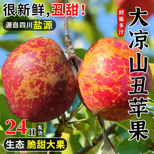 【严选】正宗盐源大凉山丑苹果 新鲜水果现摘现发小中大果 4.5/8斤彩箱装 （厂家直发） 商品图0