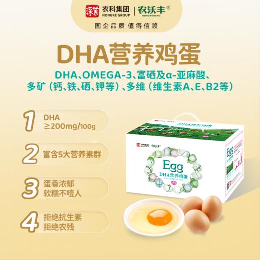 【农沃丰】DHA营养鸡蛋 商品图0