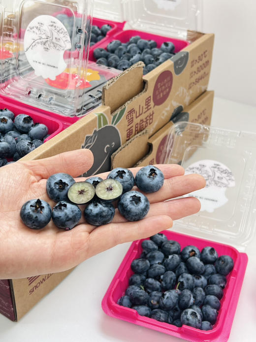 稼沃蓝莓🫐雪山甜蓝莓，好山好水 种出来的东西也是好的送礼，追求高品质，强烈推荐[强] 商品图4