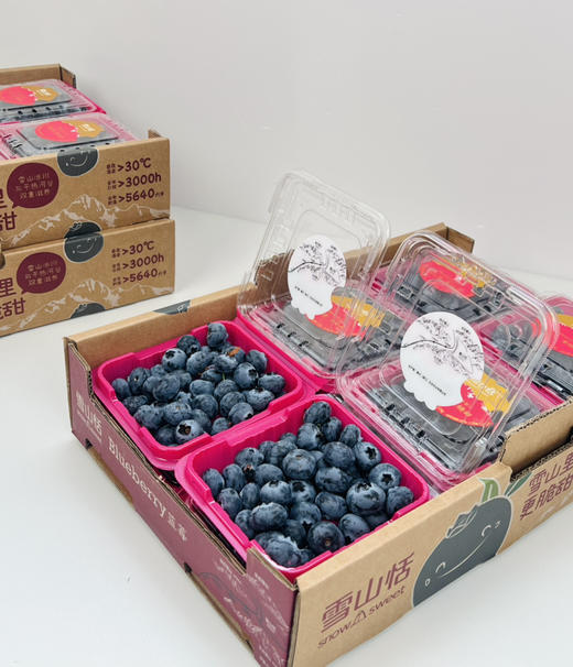 稼沃蓝莓🫐雪山甜蓝莓，好山好水 种出来的东西也是好的送礼，追求高品质，强烈推荐[强] 商品图0